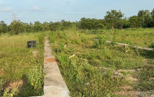 Premium Residential Plots at Raijhola, Brahmapur – Ready for Registration | 2KM from NH-59