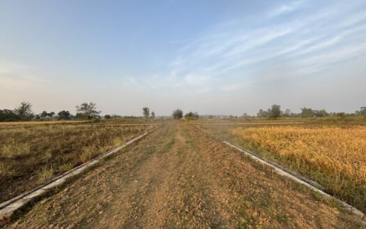 Premium Investment Plots at Dumdumi, Brahmapur – Strategic Growth Zone